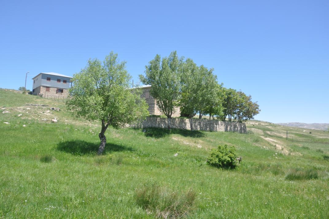 İKİ YOL , BİR SU / KEMALİYE SARIÇİÇEK YAYLASI