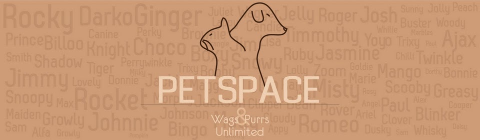 Petspace - The Official Blog