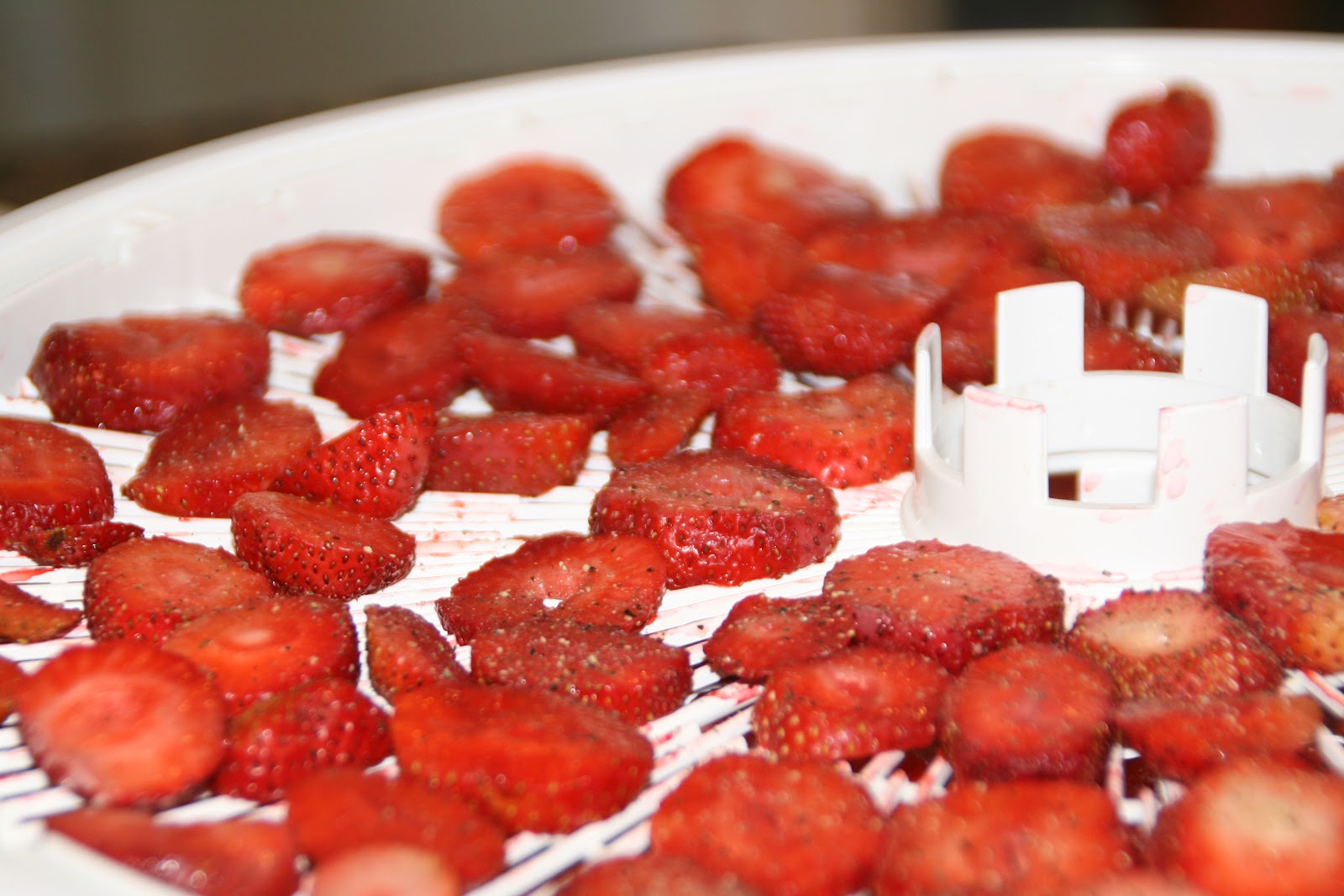 one little rayndrop Dried Strawberry Chips