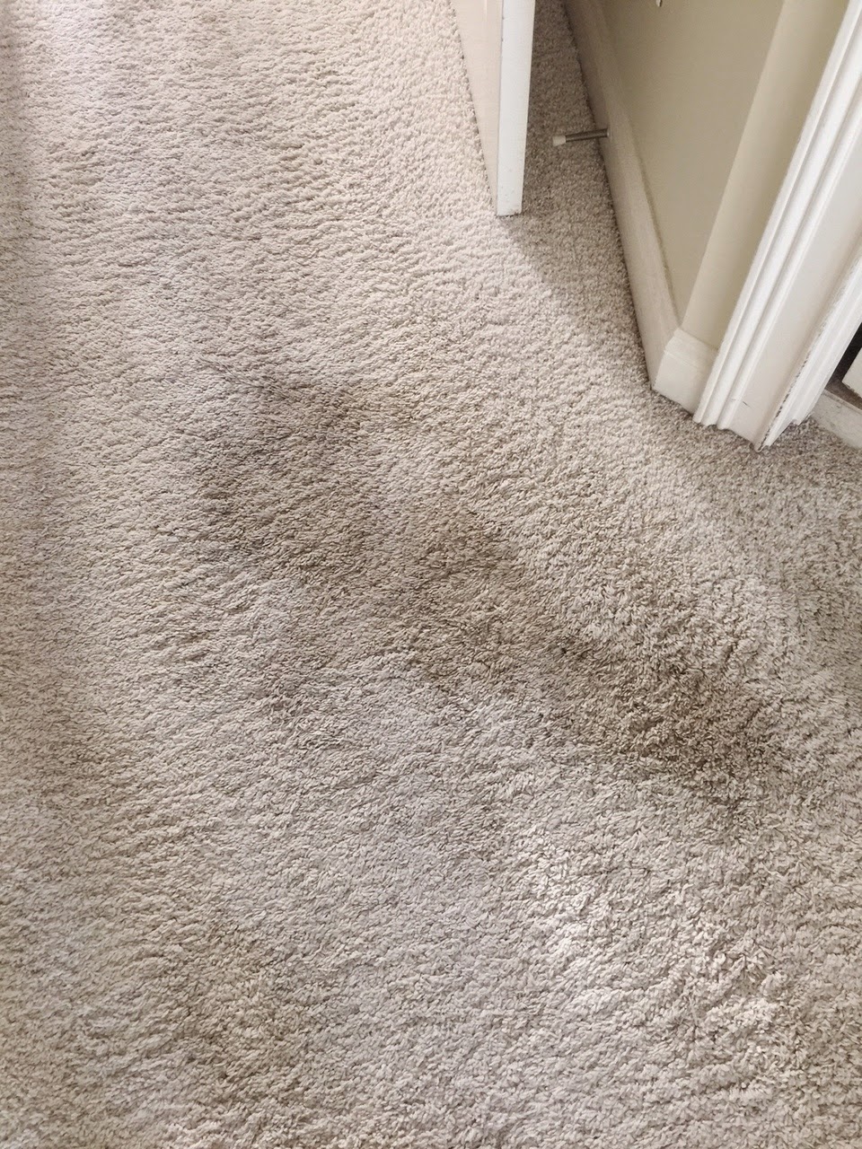 East Meets South Throw a Rug Over It