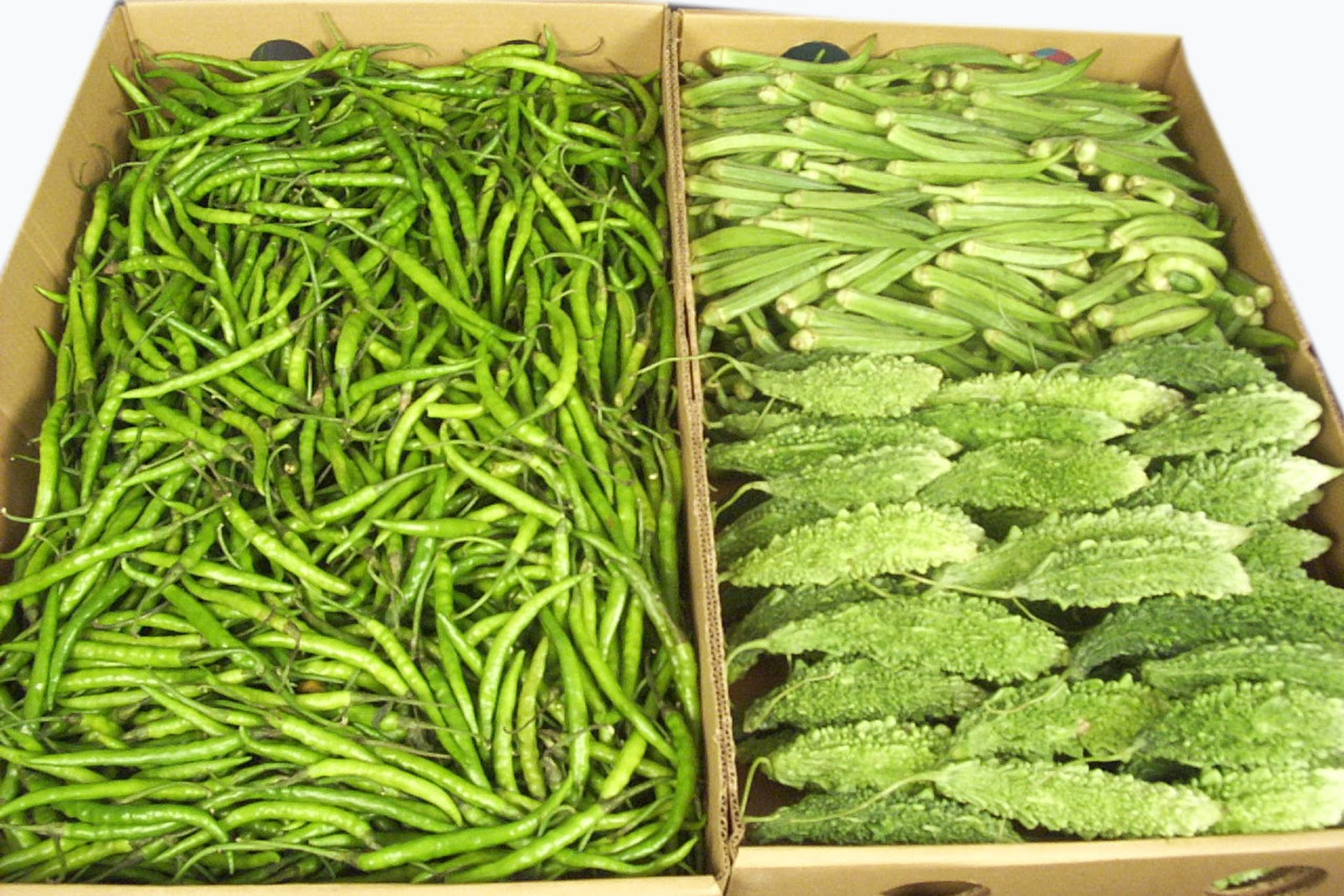 Indian vegetables and herbals