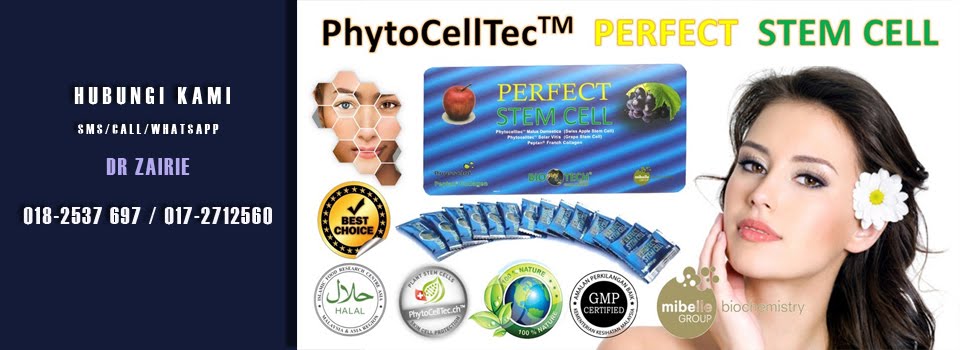 Perfect stem cell