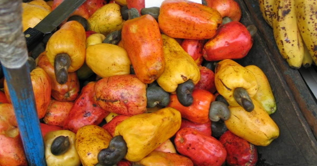 The Lanning Diary Peace Corps Costa Rica Roasting Cashews Costa