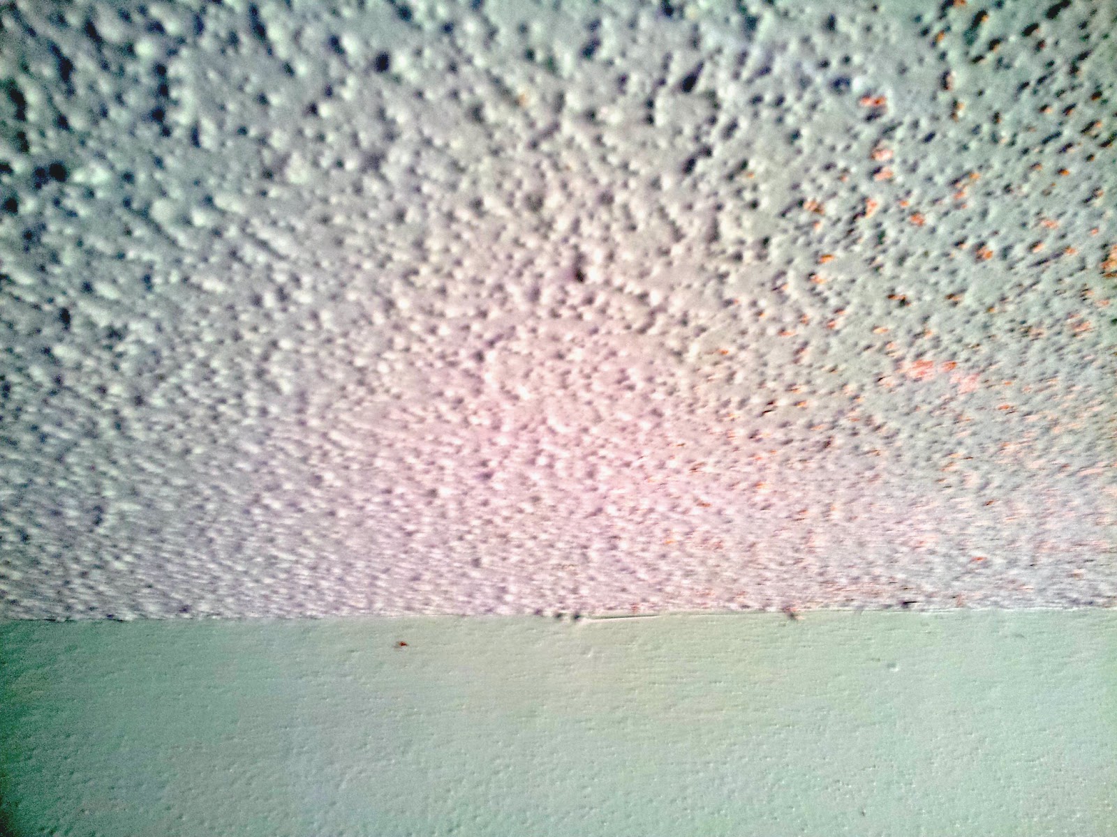 We Own Blackacre The Best Laid Plans Of Mice And Men