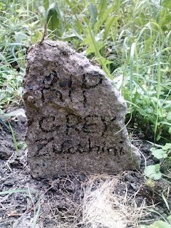 zucchini headstone.  RIP