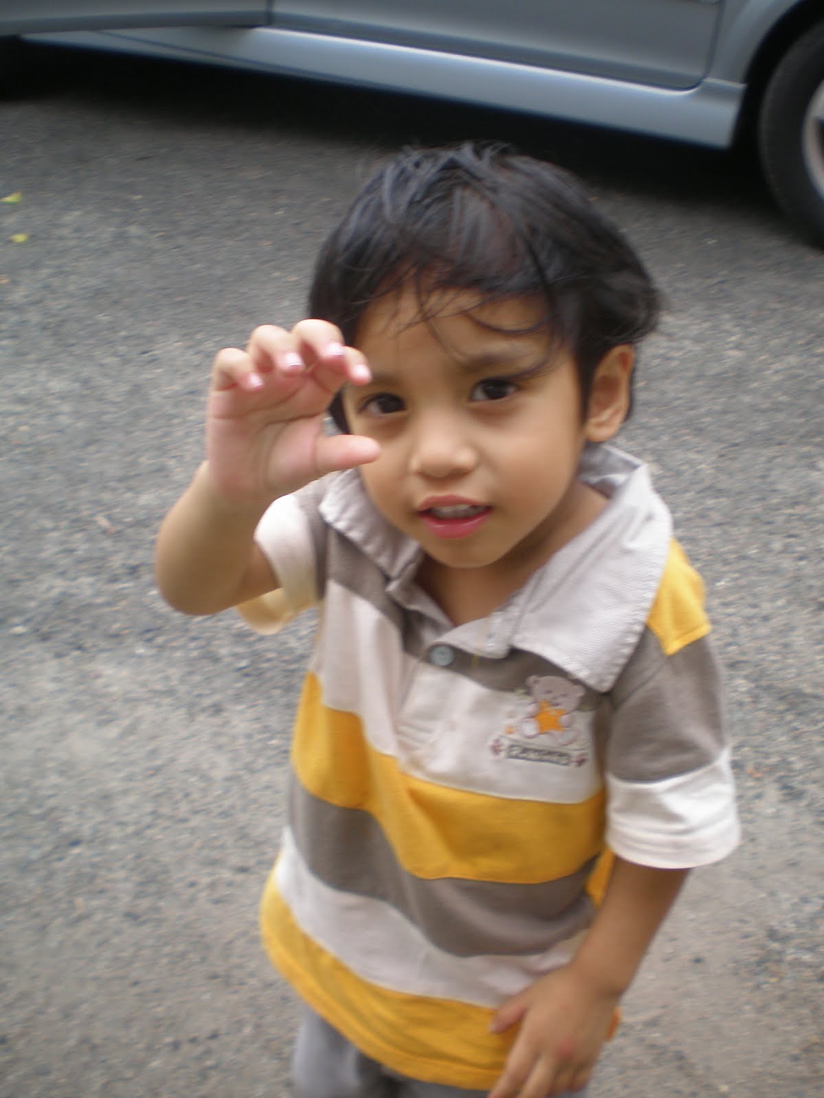 Gambr Bogel