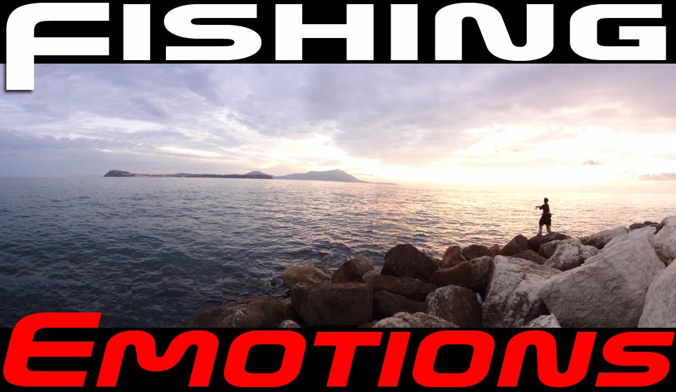 Fishing Emotions 釣り感情 fishingemotion