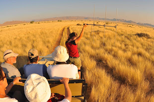 Cheetah Tracking