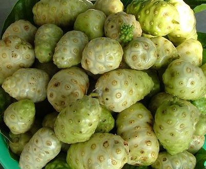 noni benefits