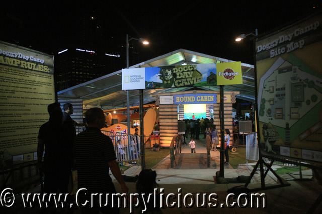 National Geographic First Doggy Day Camp National Geographic First Doggy Day Camp