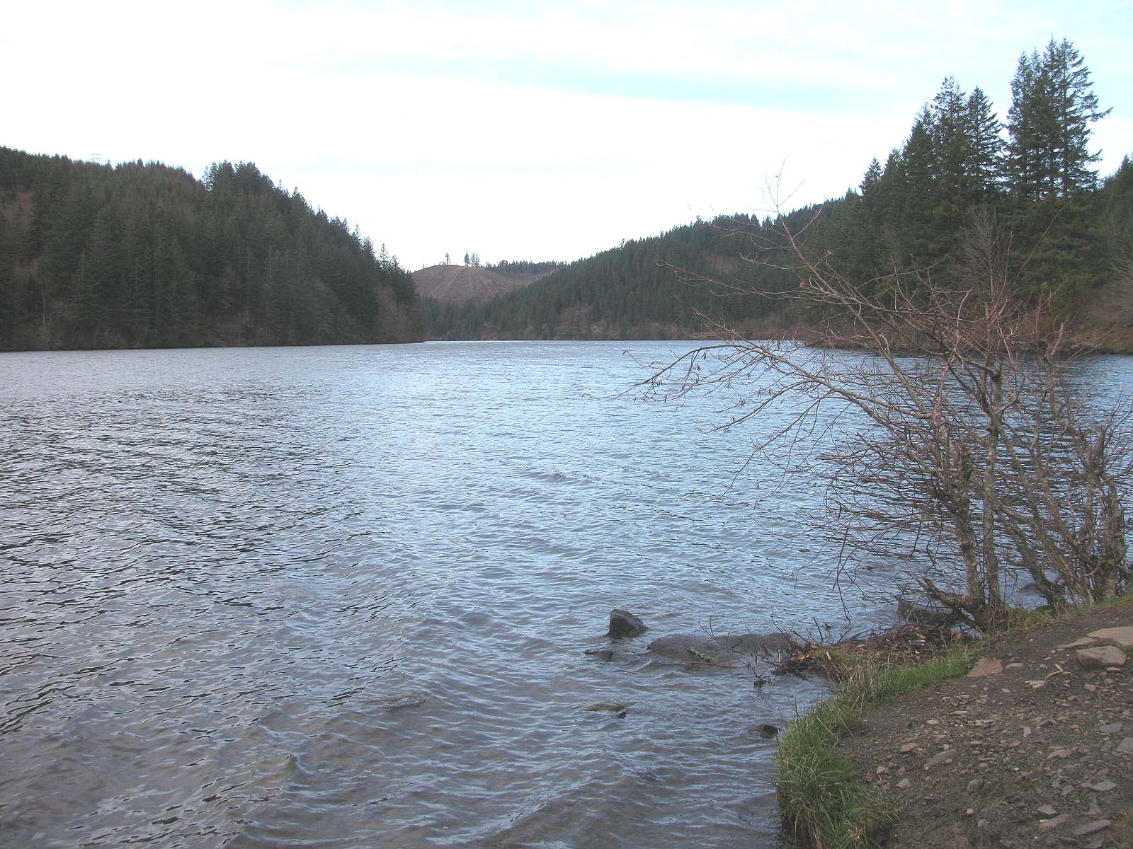 Fly Fishing with Doug Stewart Miracle on North Fork Reservoir