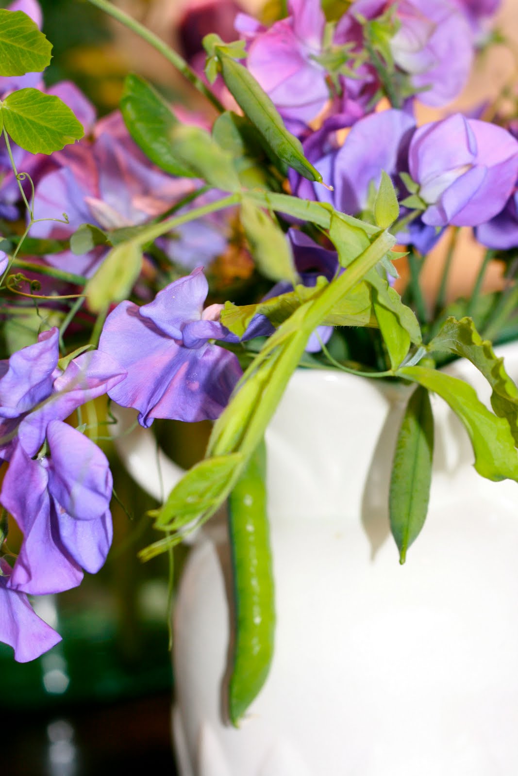 The Polished Pebble Sweet Pea Trellis