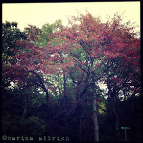 First Taste of Autumn on Cape Cod by Karina Allrich First Taste of Autumn on Cape Cod by Karina Allrich