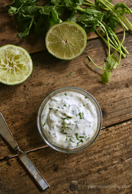 Lime Cilantro Aioli. Great on grilled chicken or fish