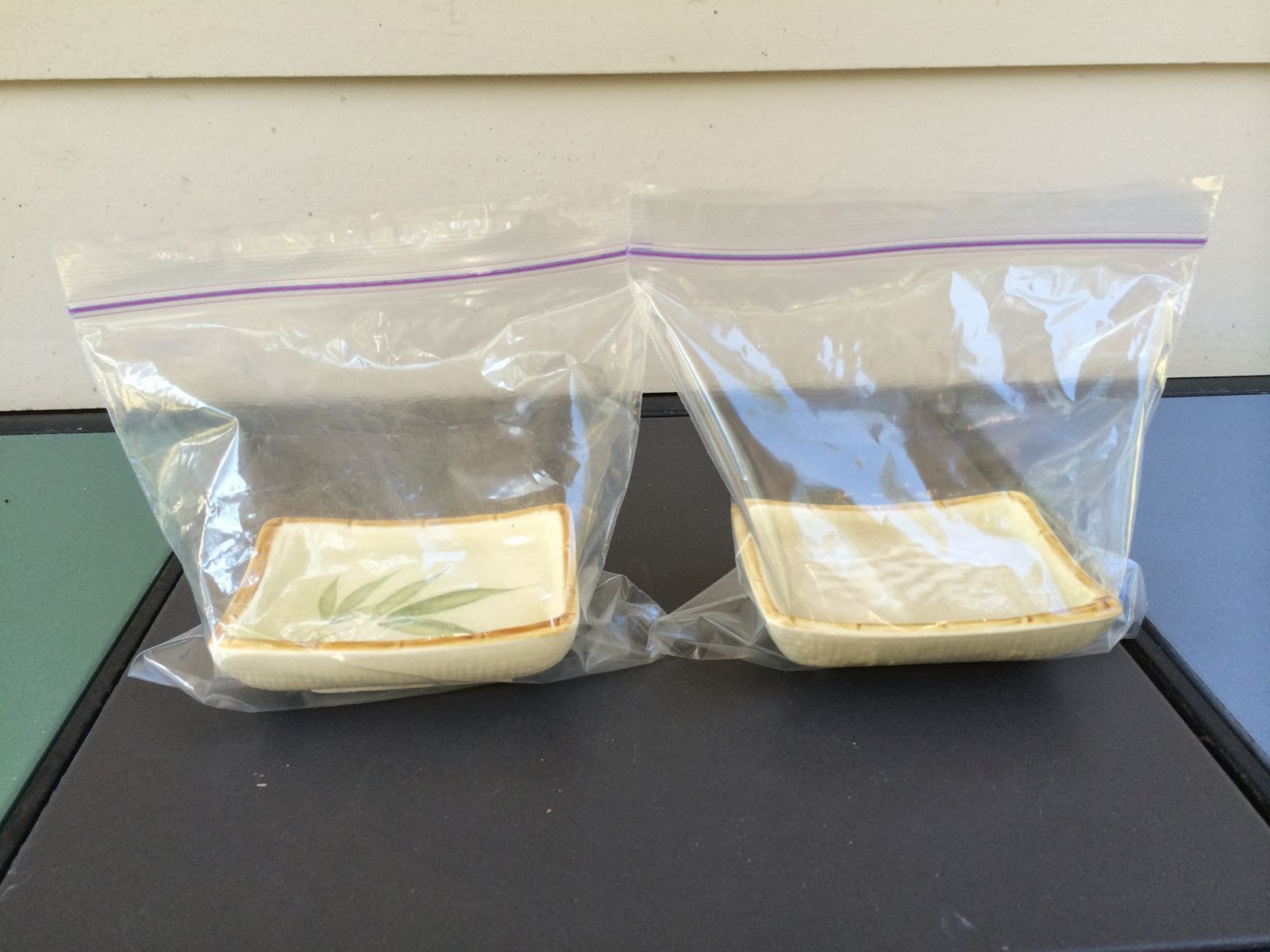 Spasms of Plastic Permeability Experiment the iScience Way