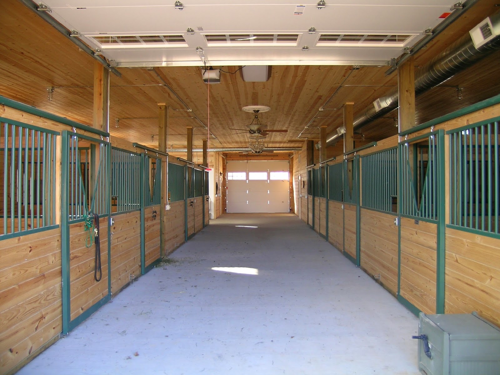 Lester Buildings blog What Size Should Your Horse Barn Be?