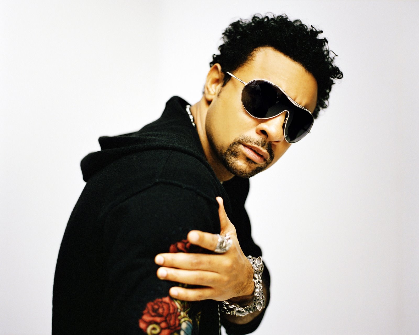 Picture Of Shaggy