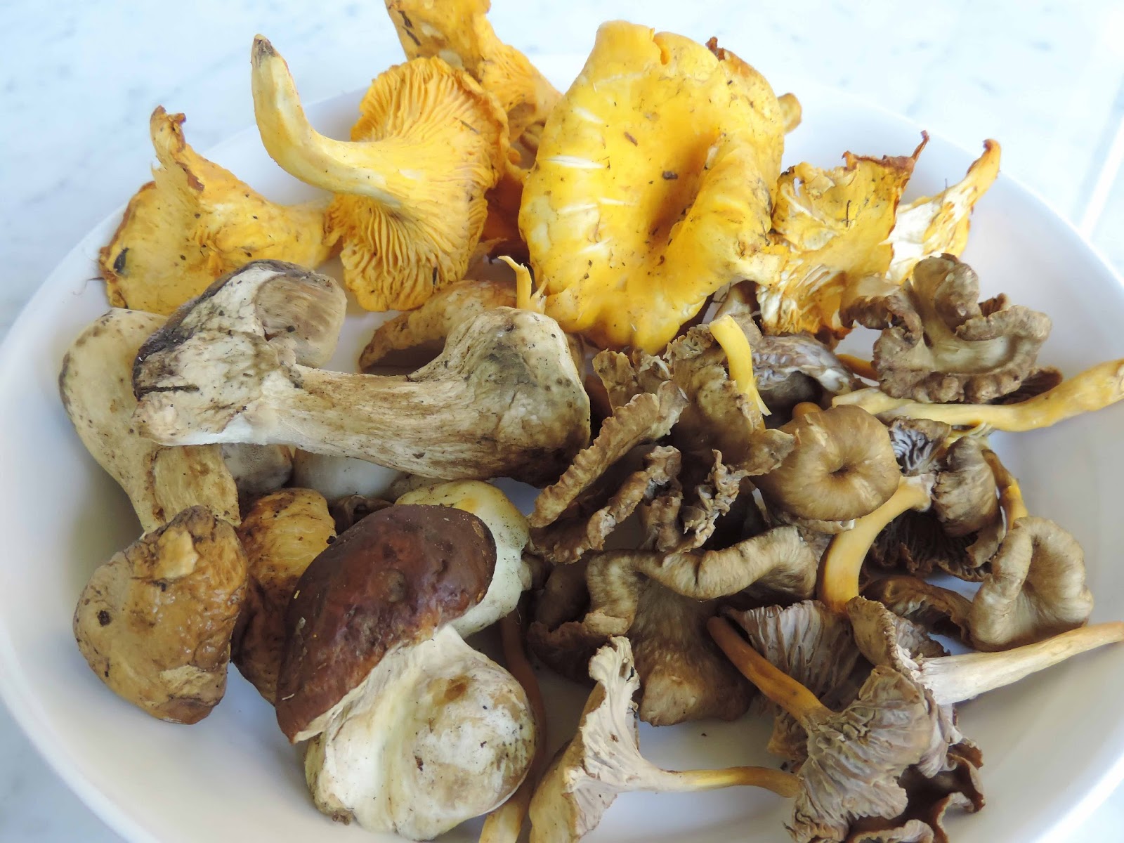 in season wood mushrooms girolles, chanterelles and cepes Leeks and