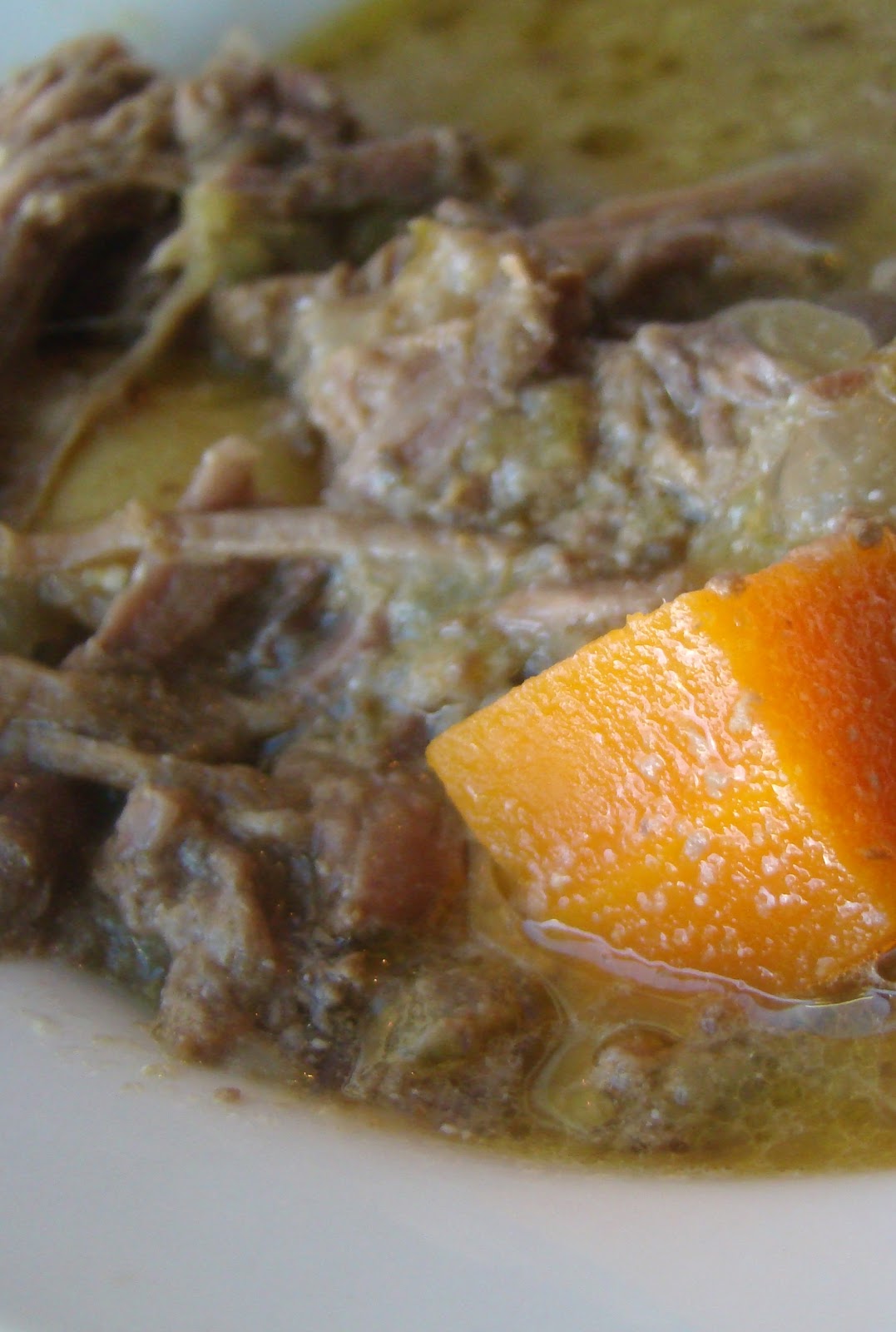 Nourished and Nurtured Green Chile Beef Stew (GAPS friendly, gluten