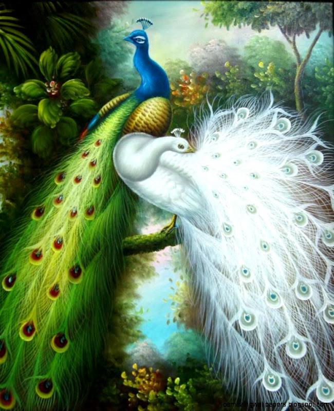 The Beauty of Art The Beauty of Art