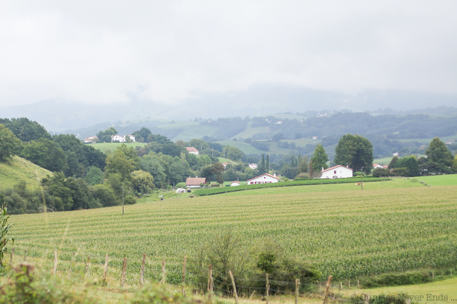 slow life,piments,espelette,pays basque,souraïde,vaches,healthy life,healthy food,l'équilibre est dans le pré