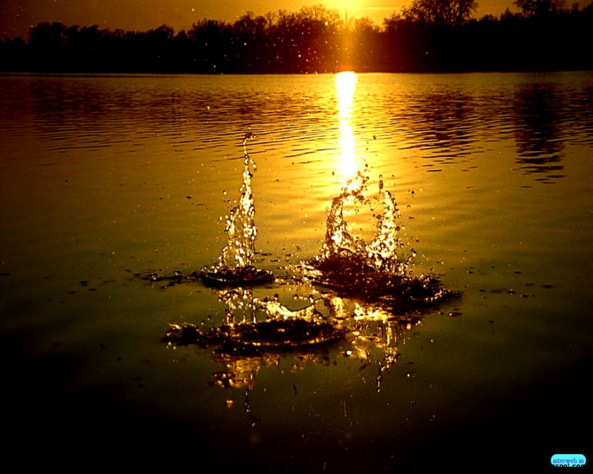 Wallpapers Sunset D Top Nature 1280x1024 303948 sunset d Wallpapers Sunset D Top Nature 1280x1024 303948 sunset d