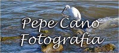 Pepe Cano Fotografia