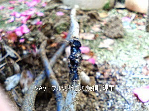 060320-4.jpg