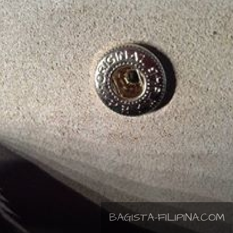 The BAG Investigator How to SPOT LONGCHAMP