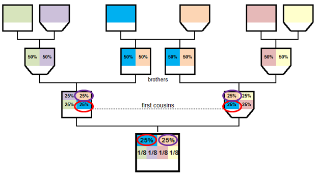 Anna sperotto thesis 04 image