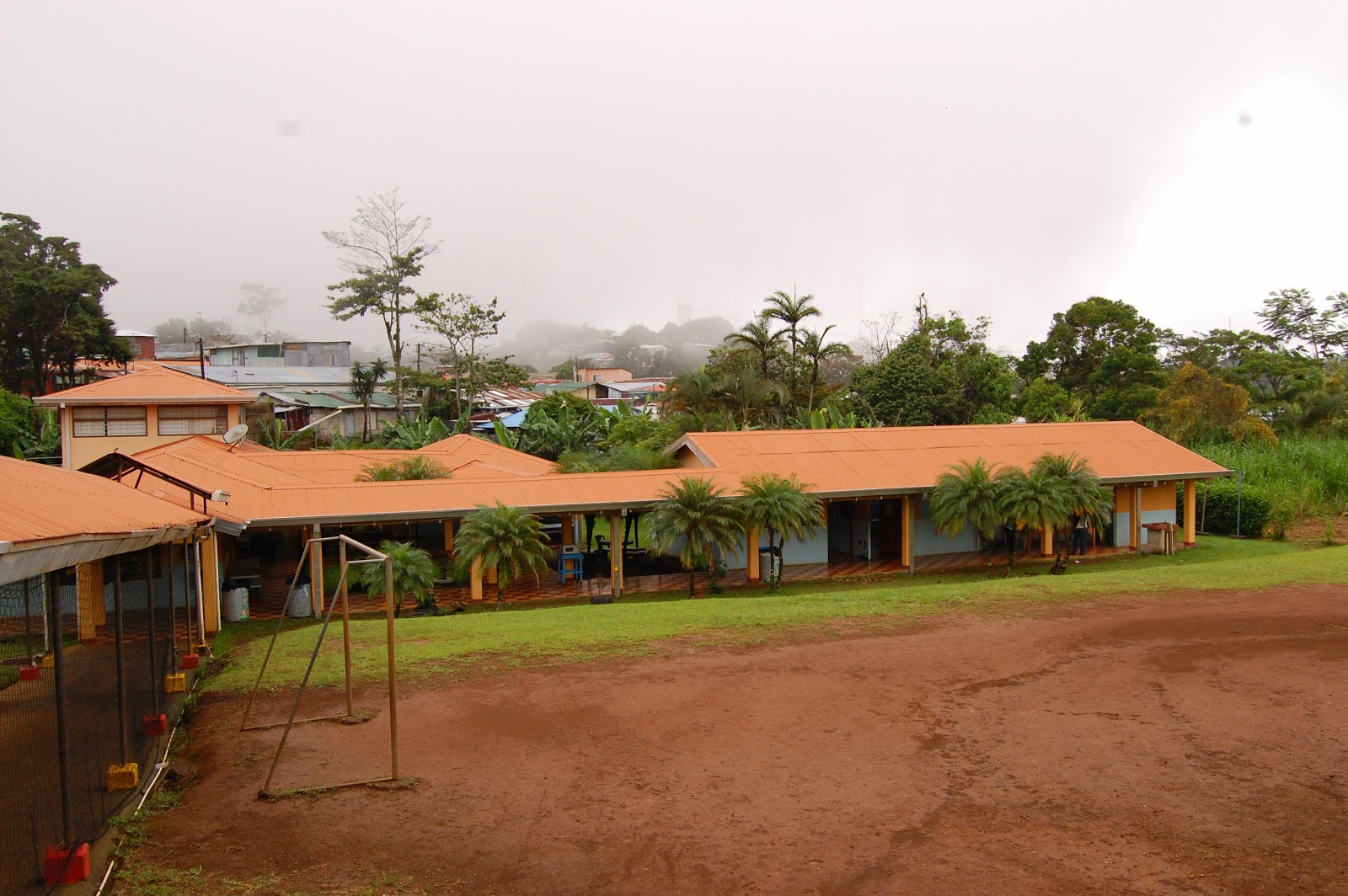 Gringo Pinto Green Forest School Learning to Live