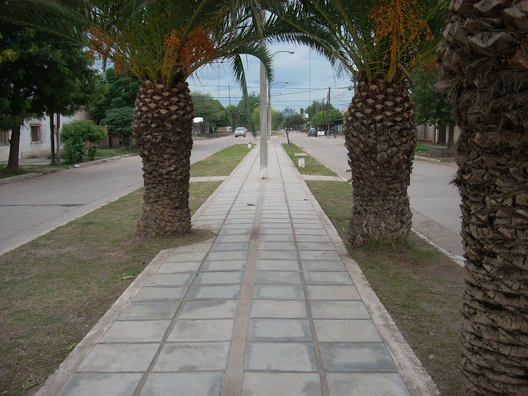 LA CIUDAD EN FOTOS...