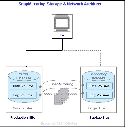 Network Appliance Snapmirror Secondary or Destination configuration of