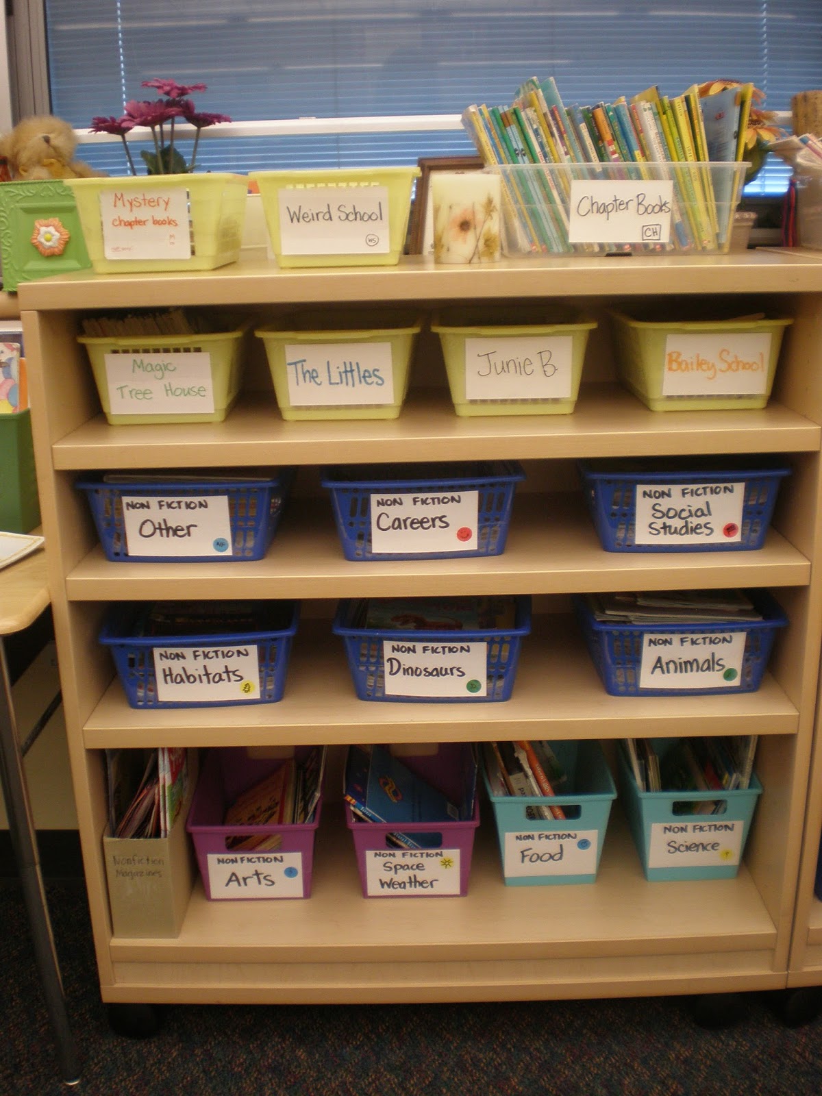 Practically Perfect in Second Grade: Literacy