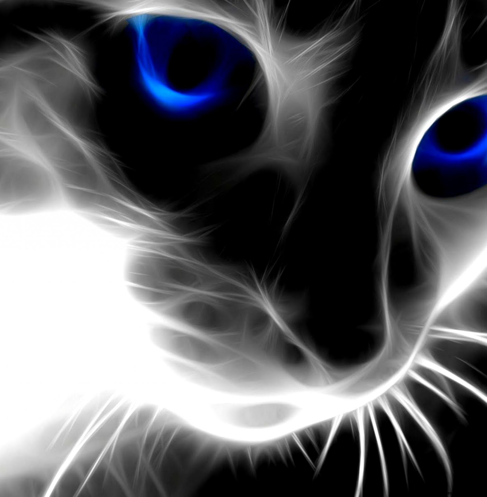 Download Abstract Animals Cat Latest Wallpaper Full HD Wallpapers Download Abstract Animals Cat Latest Wallpaper Full HD Wallpapers