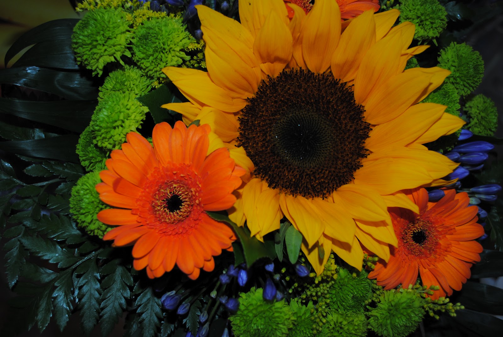 Blümchen waren gestern Blumen sind heute Frankies Testwelt