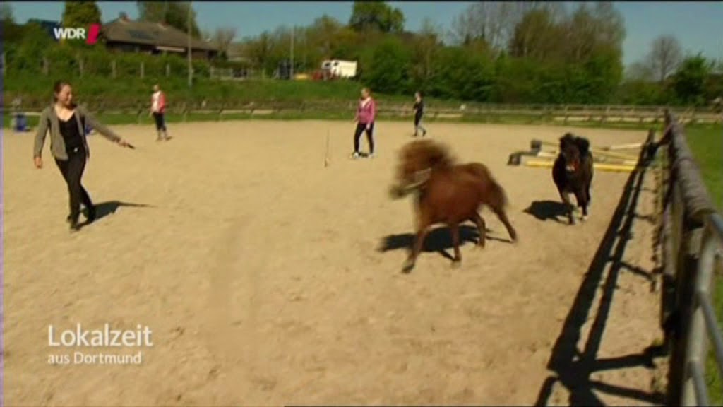 Ausflugsziele In Nrw Ein Geheimtipp Fur Kleine Und Grosse Star