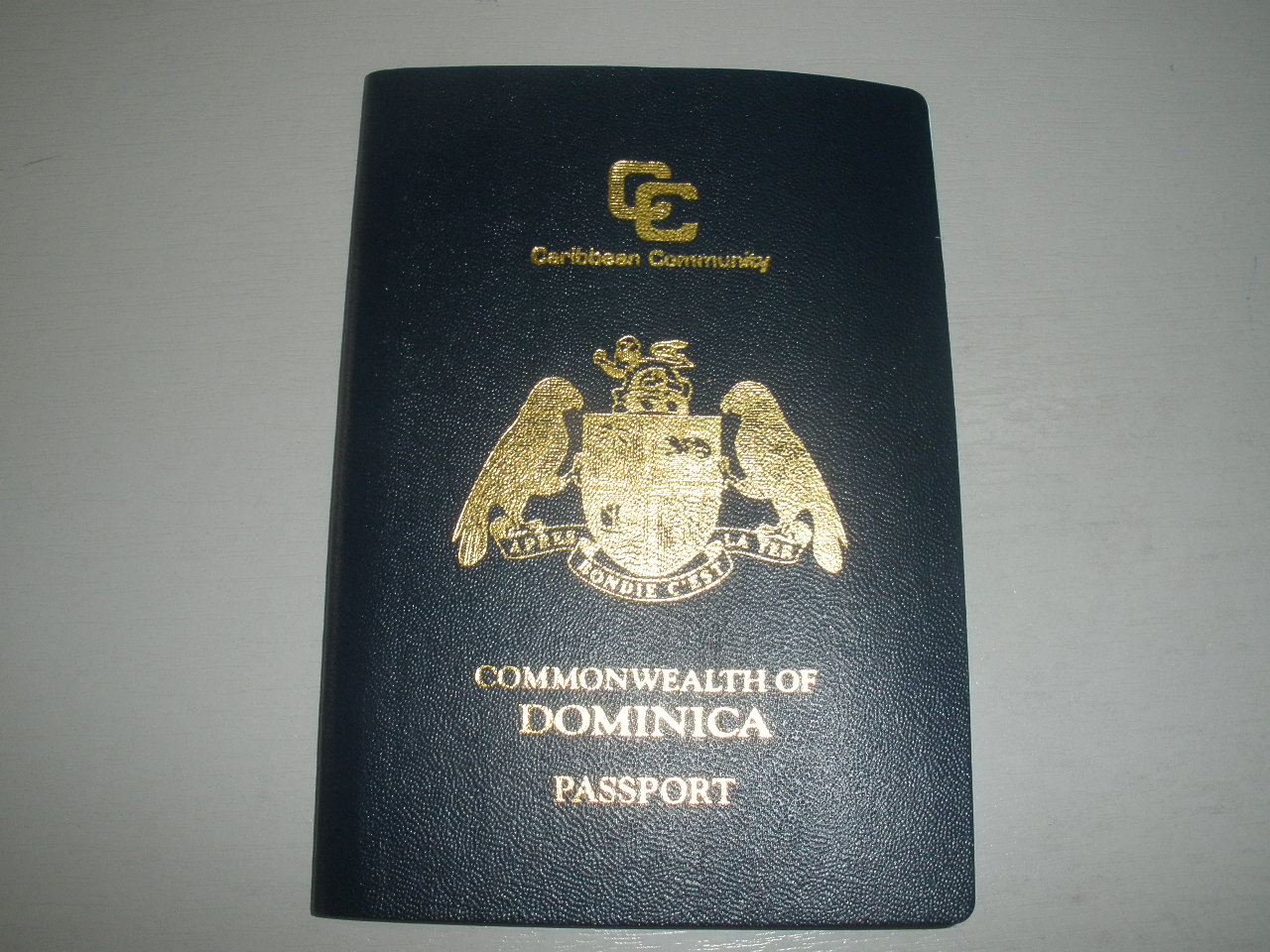 Go ahead Apply for Citizenship CITIZENSHIP