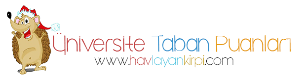 Niğde Üniversitesi Taban Puanları