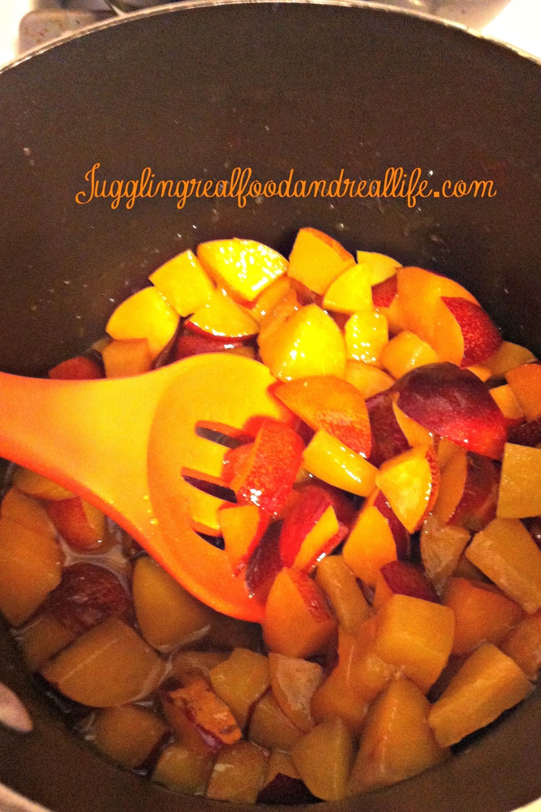Fresh and Easy Plum Sauce Juggling Real Food and Real Life