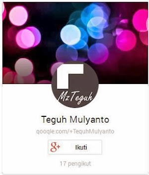 Cara Membuat Widget Badge Google Plus di Blog