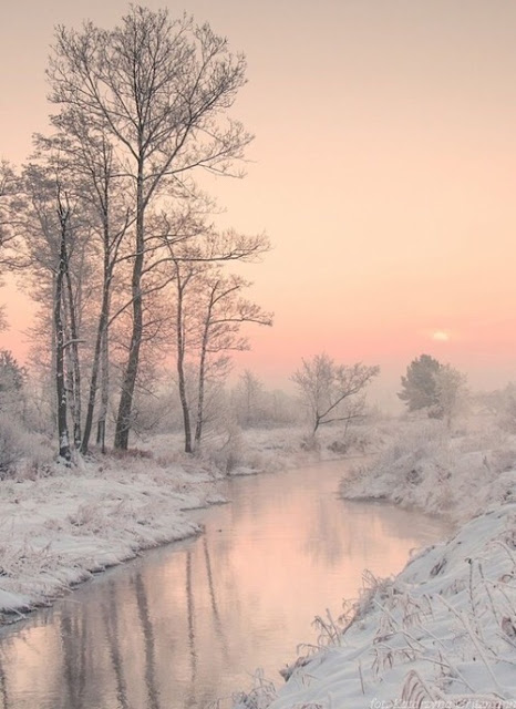 white-pink Christmas Is Coming pictures, photos & images