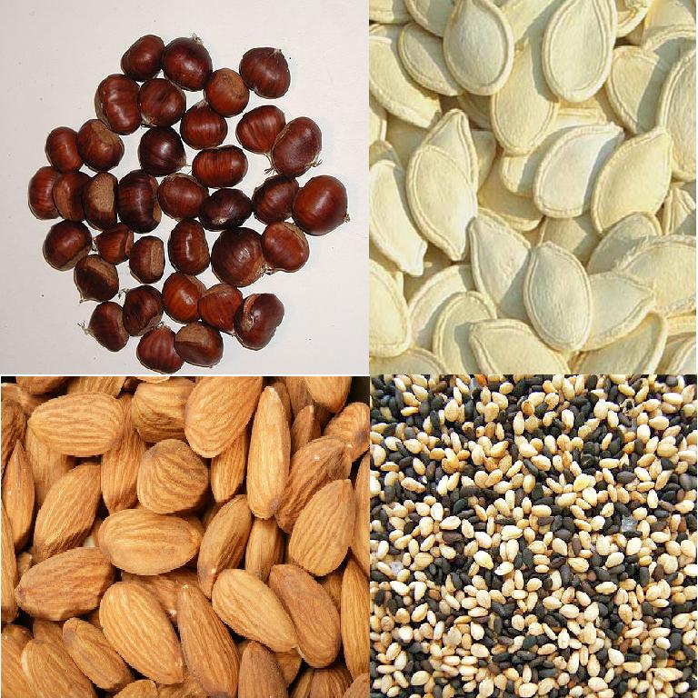 The Amazing World of Nutrition