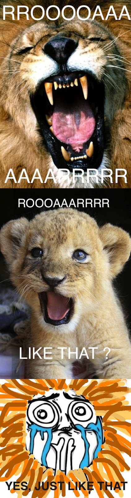 Roar Like That Baby Lion