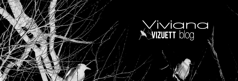 Vivian Dark Night Metal