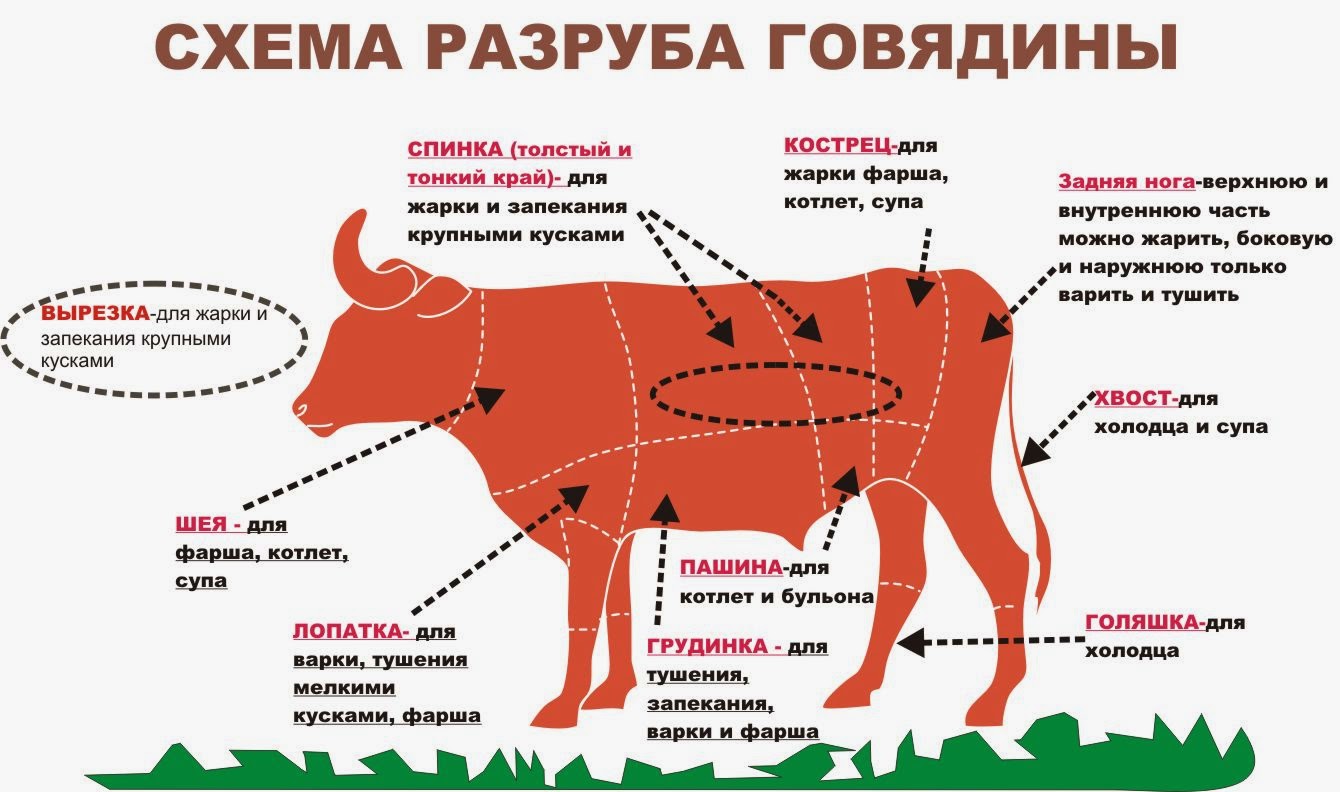 Схема разделки туши говядины и свинины Схема разделки туши говядины и свинины