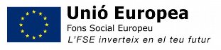 Fons Social Europeu