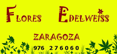 Localizar Floristeria Flores Zaragoza
