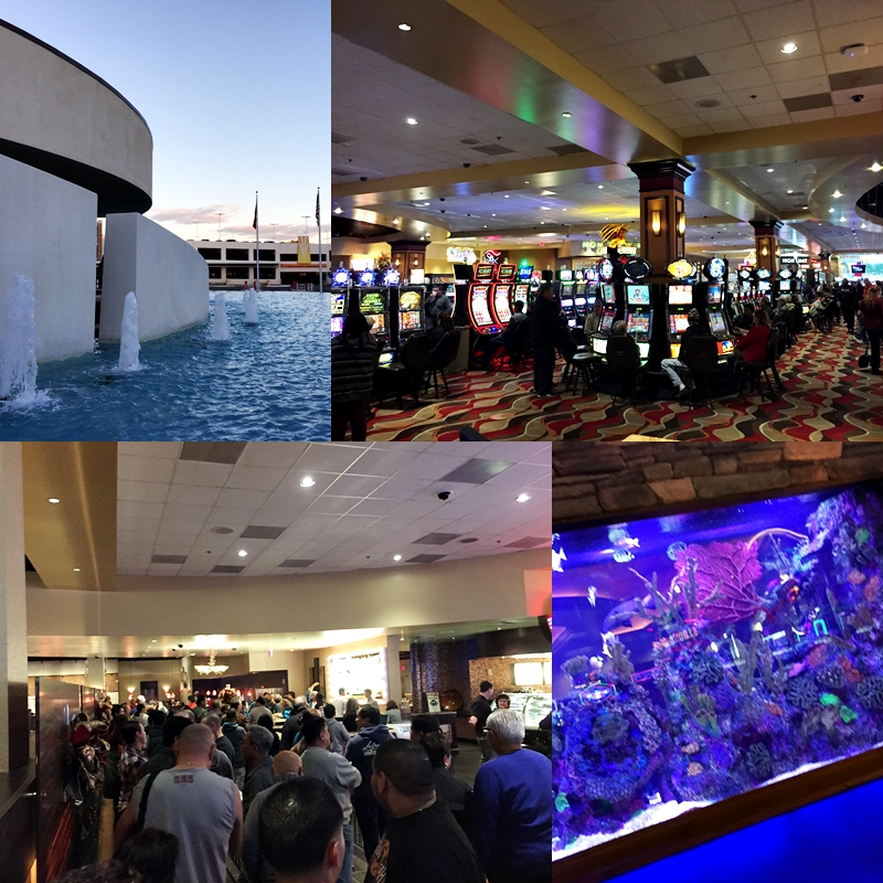 南加州美食：The Buffet (Valley View Casino & Hotel) Valley Center, CA