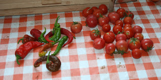 Peppers and tomatoes Peppers and tomatoes